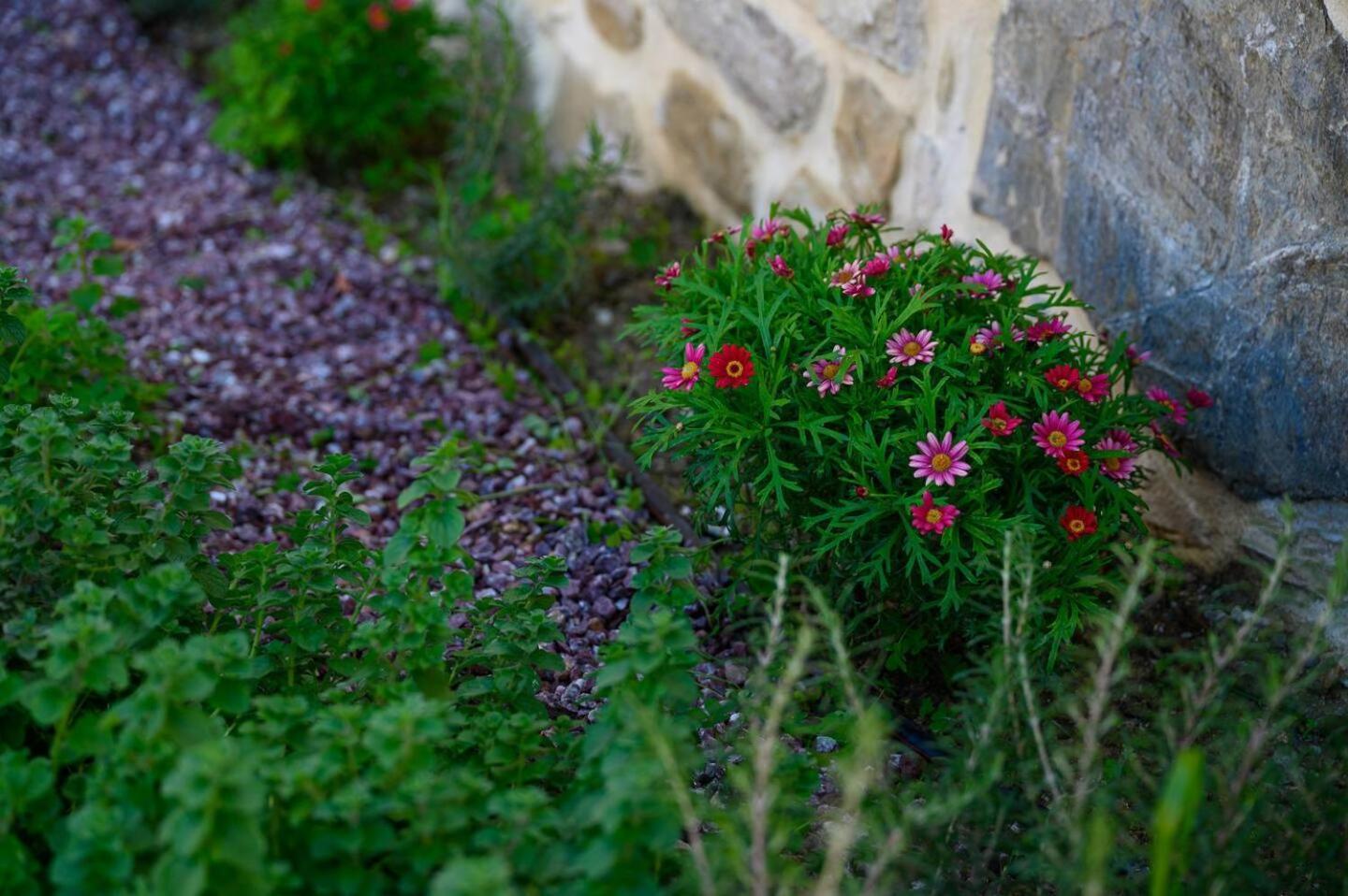 Physis Country House Near Matala Beach & Faistos Kouses Экстерьер фото